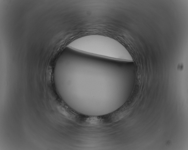 X0000091010231200708021413