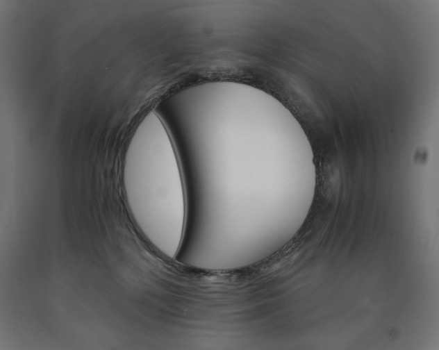 X0000091010232200708021413
