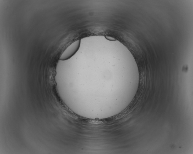 X0000091010234200708021413