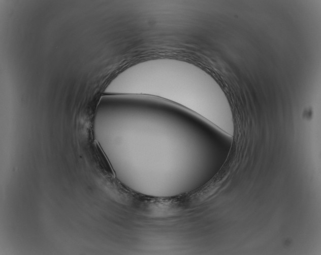 X0000091010235200708021413