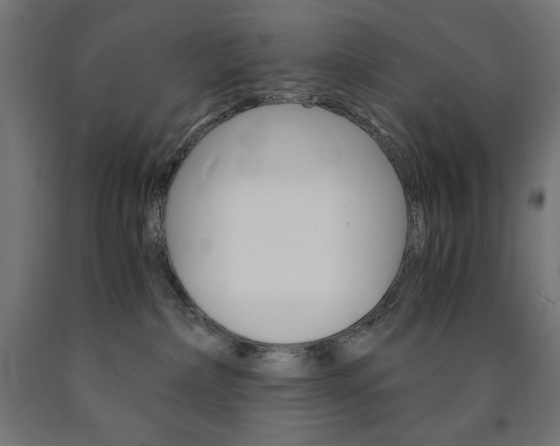 X0000091010236200708021413
