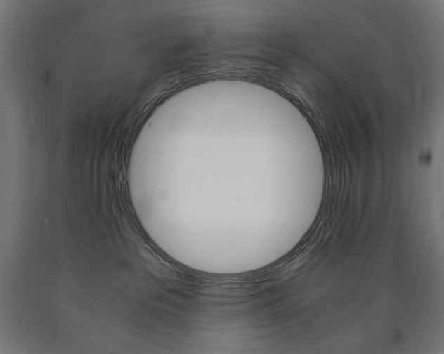 X0000091010237200708021413