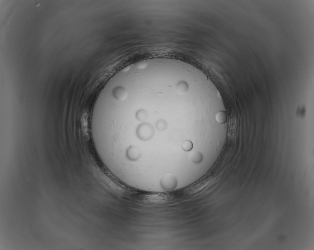 X0000091010238200708021413