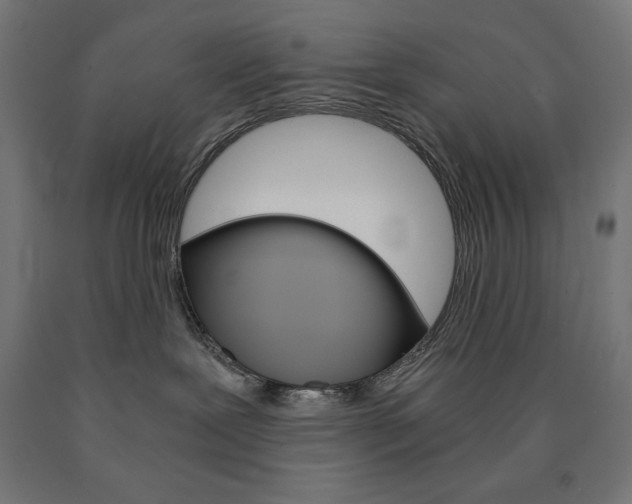 X0000091010239200708021413