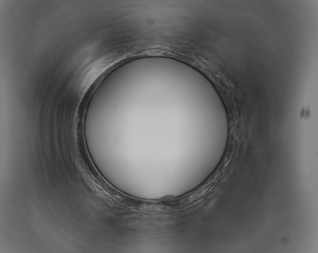 X0000091010242200708021412