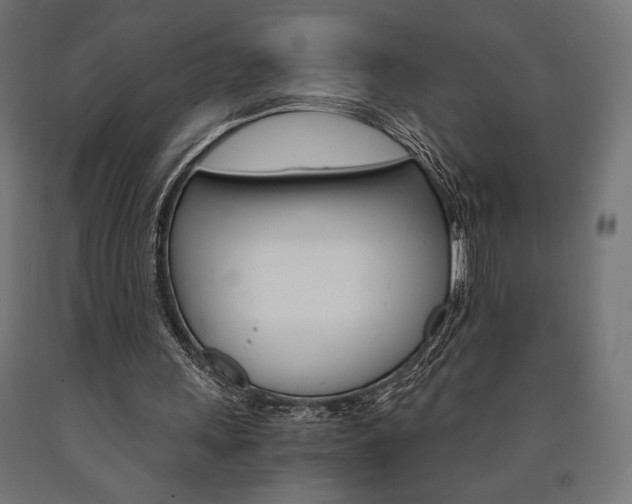 X0000091010243200708021412