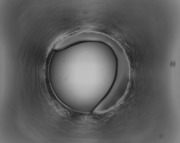 X0000091010244200708021412