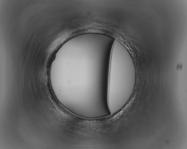 X0000091010245200708021412