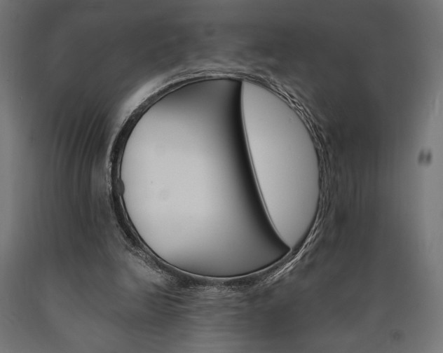 X0000091010246200708021412