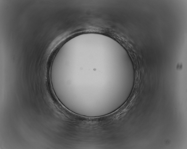 X0000091010247200708021412