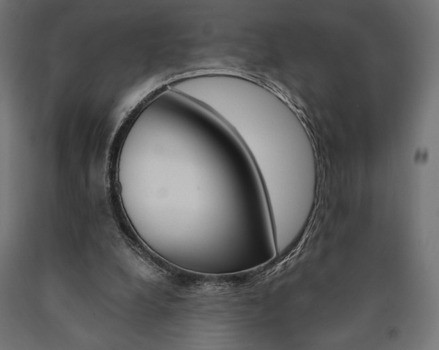X0000091010248200708021412