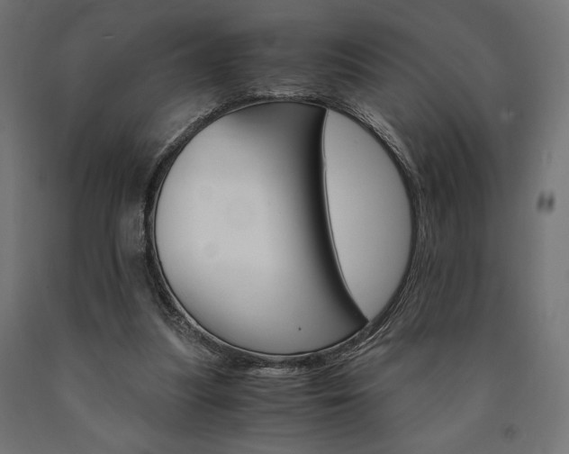 X0000091010251200708021412