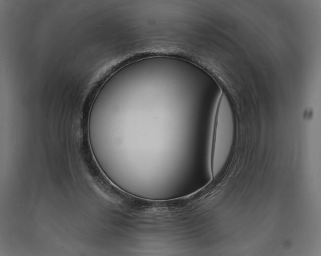 X0000091010252200708021412