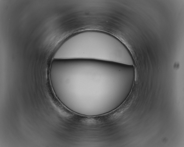 X0000091010253200708021412
