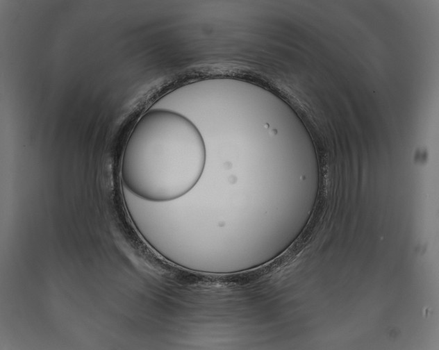 X0000091010254200708021412