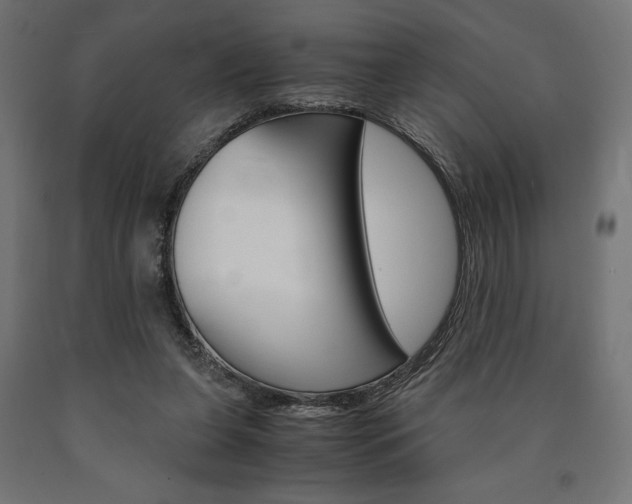 X0000091010255200708021412