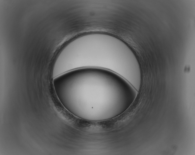 X0000091010256200708021412
