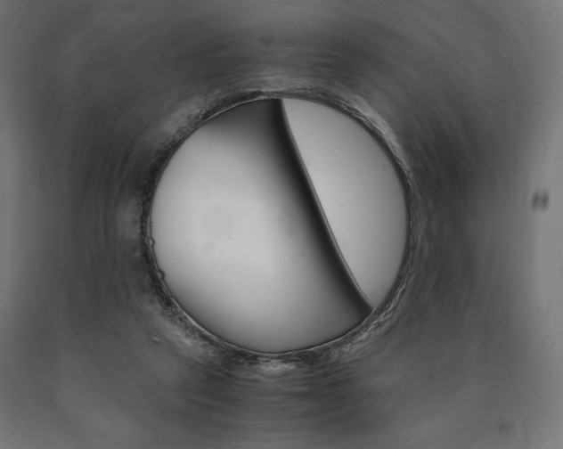 X0000091010257200708021412