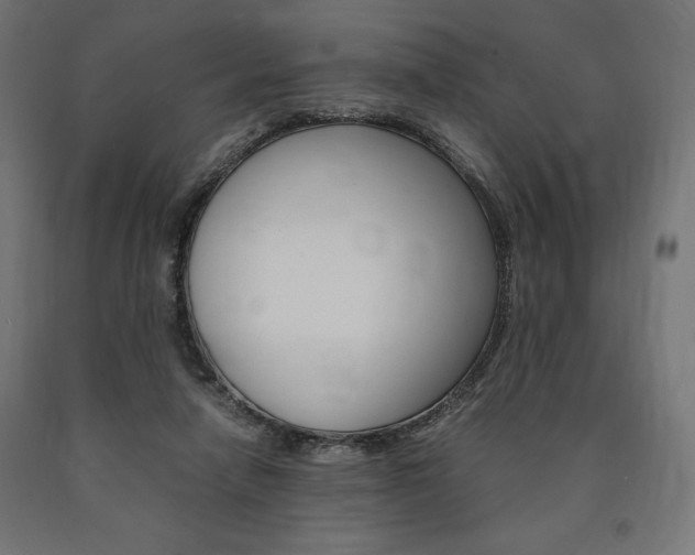 X0000091010258200708021412