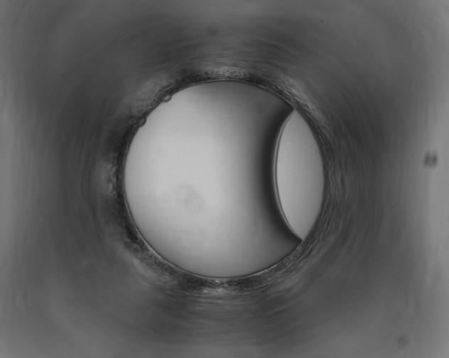 X0000091010259200708021412