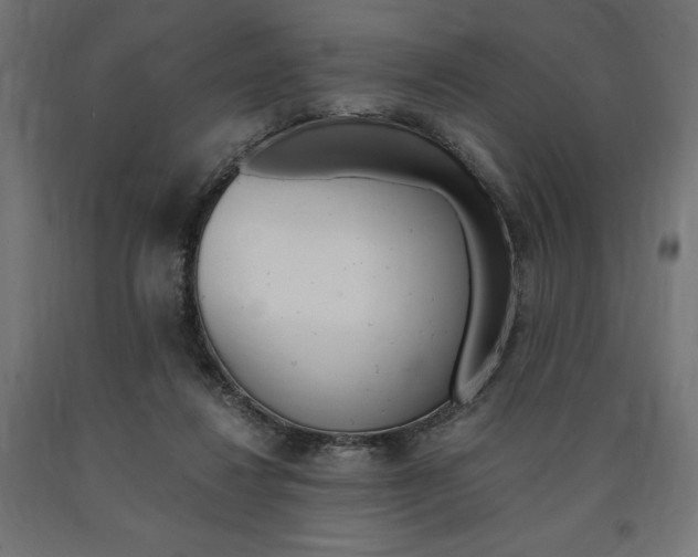 X0000091010260200708021412