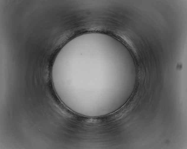 X0000091010261200708021412