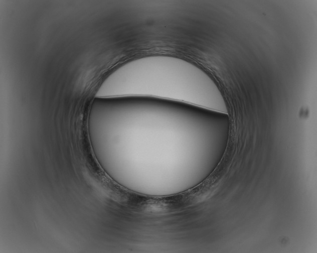 X0000091010263200708021412