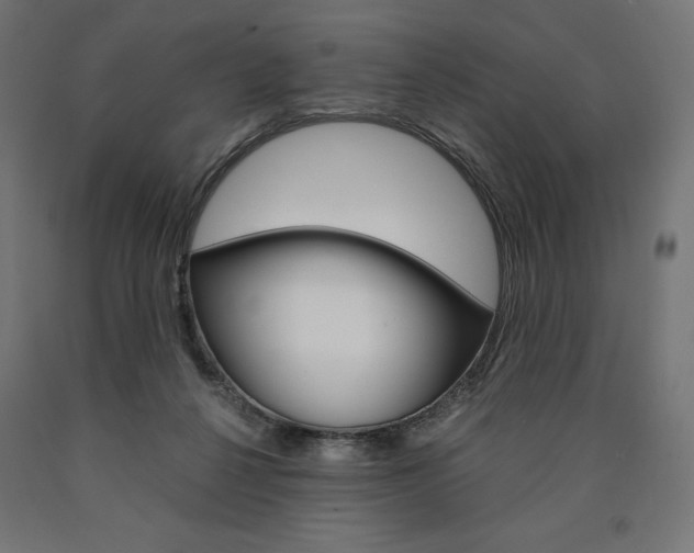 X0000091010264200708021412