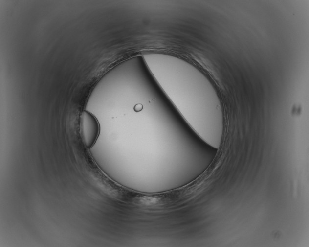 X0000091010265200708021412
