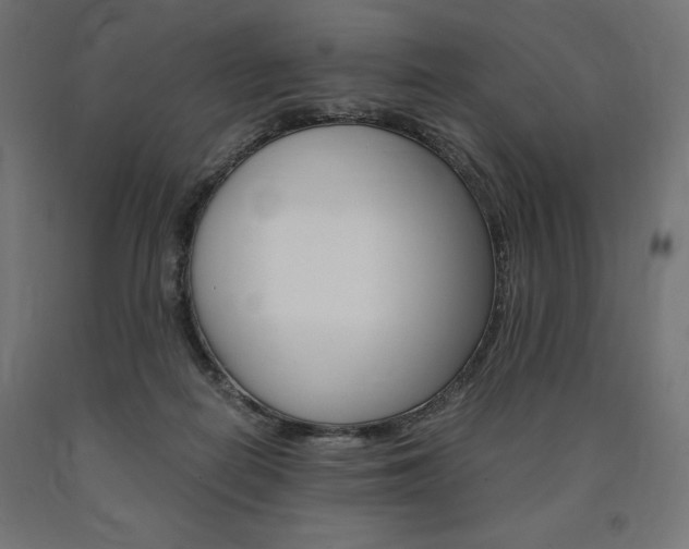X0000091010266200708021412