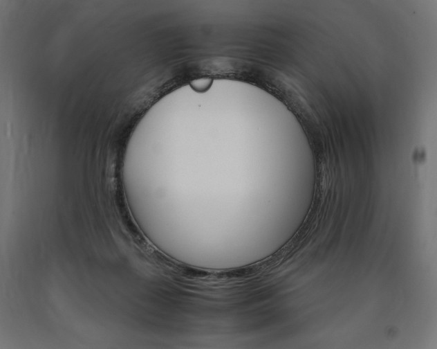 X0000091010267200708021412