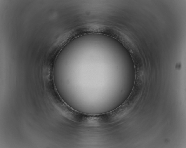X0000091010268200708021412