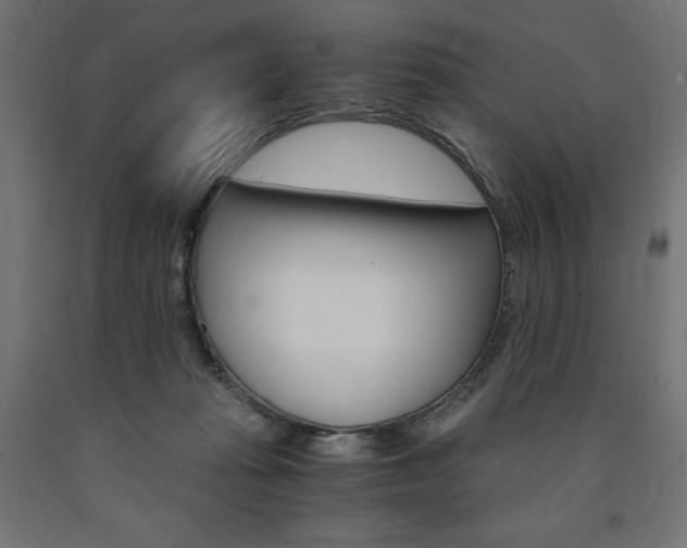 X0000091010269200708021412