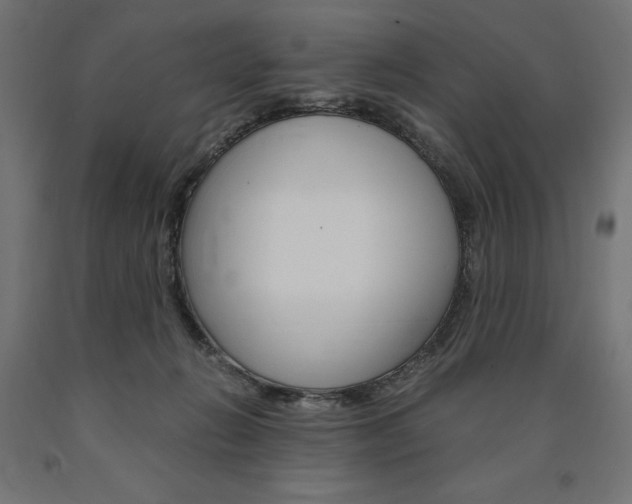 X0000091010270200708021412
