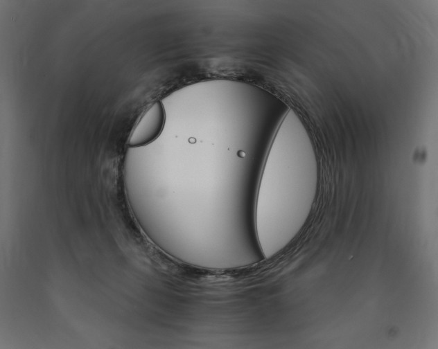 X0000091010271200708021412