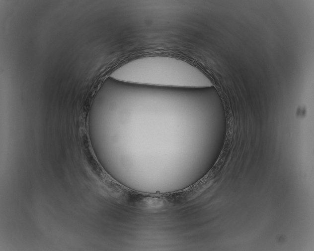 X0000091010272200708021412