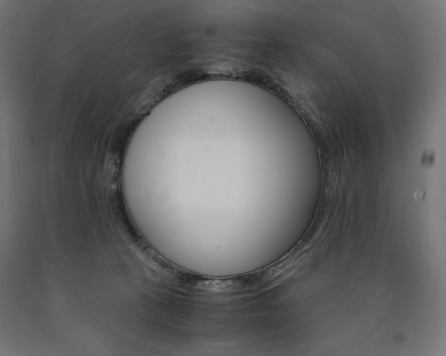 X0000091010273200708021412