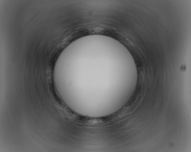 X0000091010274200708021412