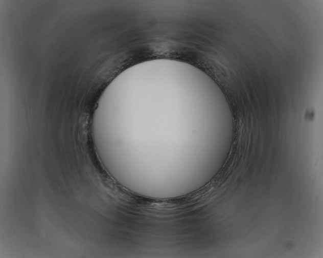X0000091010275200708021412