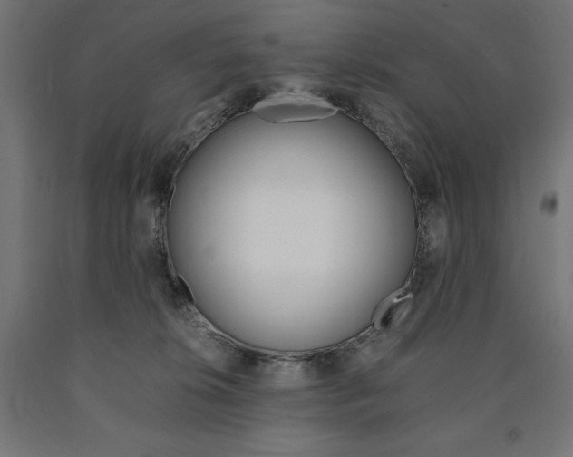 X0000091010276200708021412