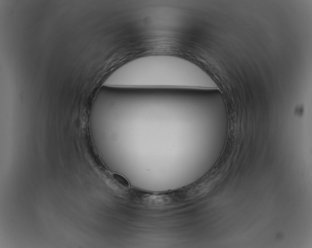 X0000091010277200708021412