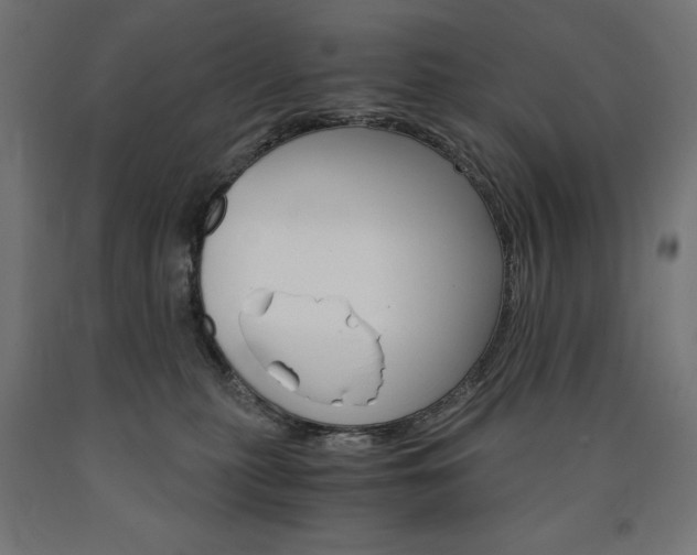 X0000091010279200708021413