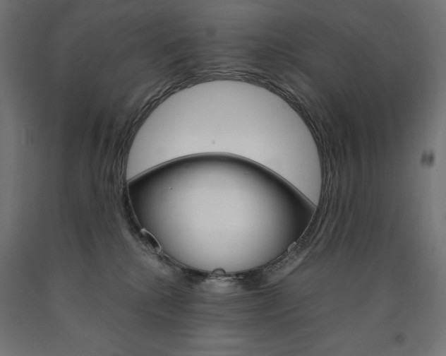 X0000091010280200708021413