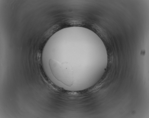 X0000091010281200708021413