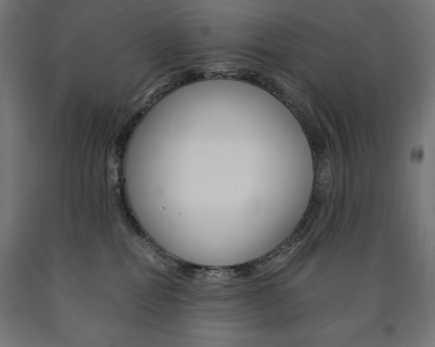 X0000091010282200708021413