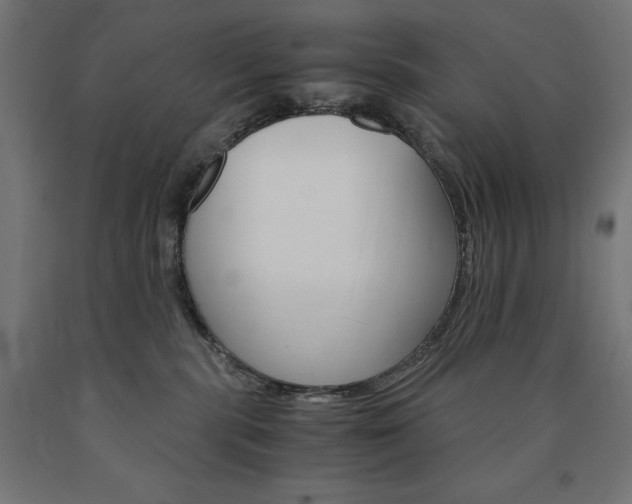 X0000091010283200708021413