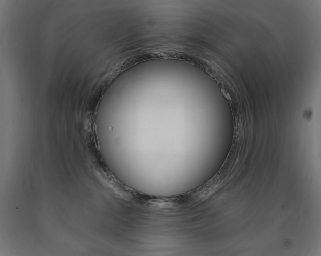 X0000091010284200708021413