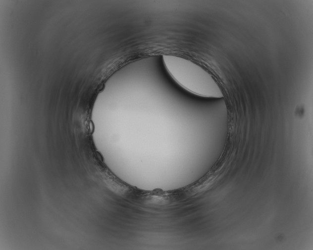 X0000091010285200708021413