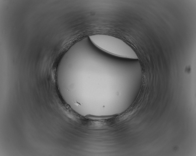 X0000091010286200708021413