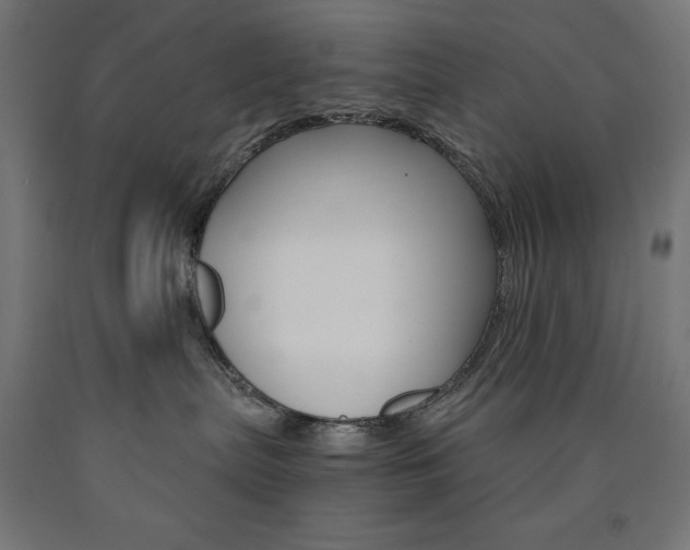X0000091010287200708021413
